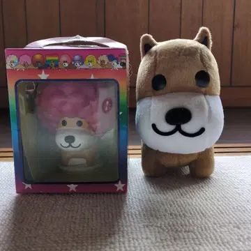 가격 인하 아프로견 라이트 봉제 인형 세트