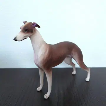 1/6 피규어 개 리카짱 바비 사이즈