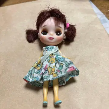 미니 브라이스 커스텀 인형, 의류도 포함