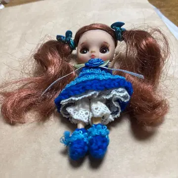 커스텀 미니 브라이스 의류 포함. 갈아입기도 가능