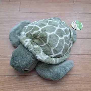 요시토쿠 바다거북 M