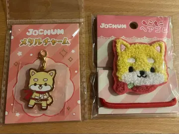 JOCHUM 메탈 참 마메치