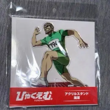 300 엠. 아크릴 스탠드 카이도