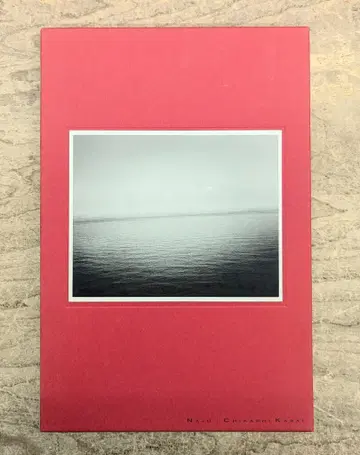 카사이 니지 사인본 파주 소책자 첨부 2001년 초판