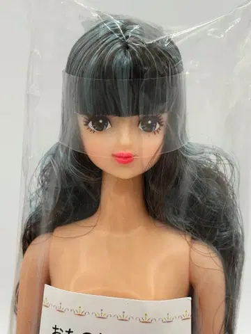 사야카 리카짱 캐슬 오타노시미 인형 블랙 남색 계열 제니 프렌드