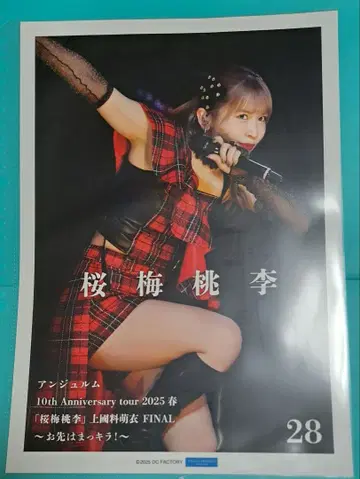 안쥬르므 타메나가 시온 컬렉션 핀업 포스터 사쿠라 우메 토리