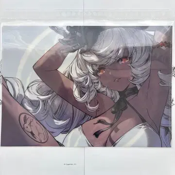 그랑블루 판타지 십이신장 연의 클리어 파일 마코라