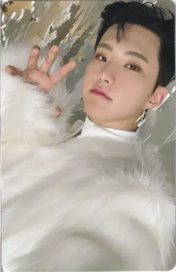 SEVENTEEN 최초 한정 영상반 HOSHI 아이노치카라