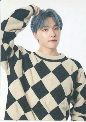 세븐틴 디노 2021 세븐틴즈 홈 114