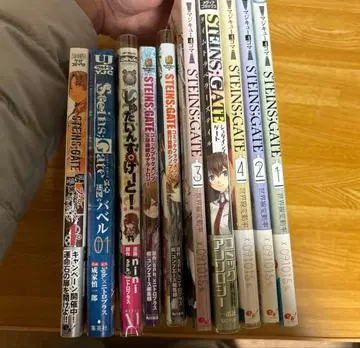 슈타인즈 게이트 슈게 관련 도서 10권 세트 비전권