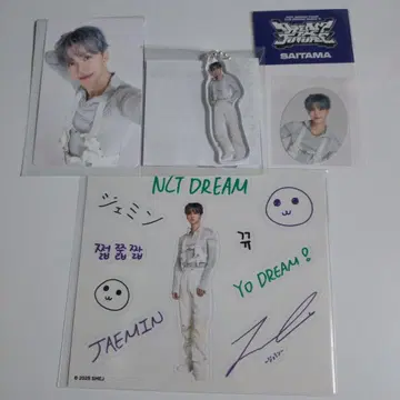 NCT DREAM 드림쇼4 굿즈 재민 세트