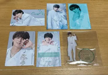 캐터리아 컬 시오타 이치고 씨