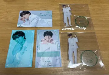 캐터리아 컬 시오타 잇키 씨