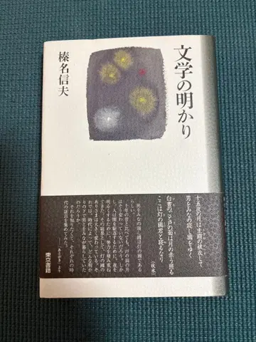 문학의 등불 하루나 노부오 저