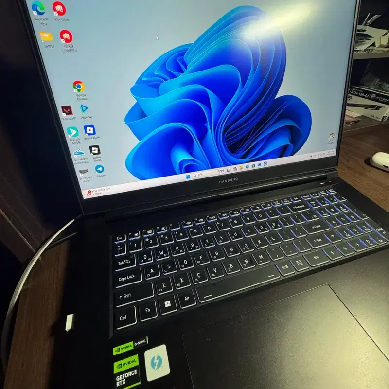 i9-13900HX, 4060 한성 보스몬스터 게이밍 노트북 GTX73