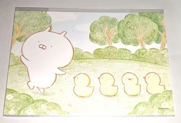 우사마루 엽서 제4탄 우사마루전 보물 상자