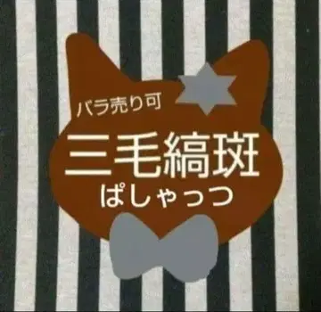 앙스타 마다라 파샤츠 소문래복 커버송 페어 TRIP 9주년 특전