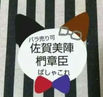 앙스타 진 쇼세이 선생님 파샤코레 중국 금박 3주년 4주년 J&A