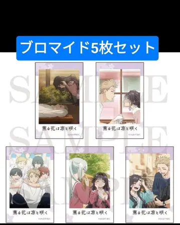 브로마이드 5장 세트 린타로 카오루코 카오루하나와 린토사쿠 교토마후
