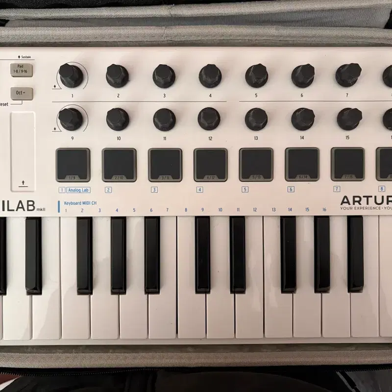 아투리아 MiniLab mkII 미디 컨트롤러