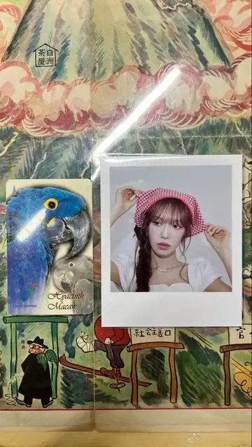 Red Velvet 웬디 폴라로이드