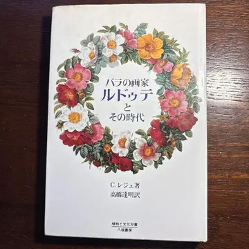 장미의 화가 루도테와 그 시대