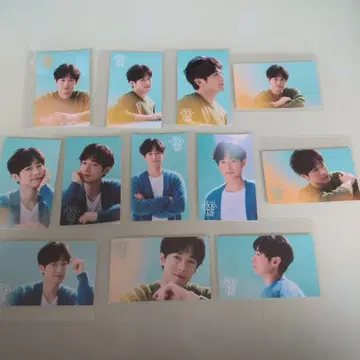 딘 후지오카 미니 브로마이드 12장 세트