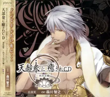 aura 천부중에게 치유받는 CD 11 사천왕 광목천 편