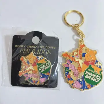 곰돌이 푸 100 Acre Holiday 핀 배지 키링 세트
