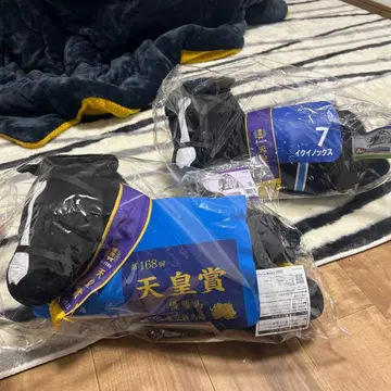 다이토 복권 이퀴녹스 A상 and LH상