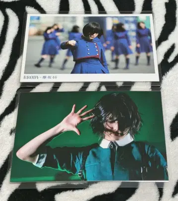 히라테 유리나 엽서 2종 라미네이티드 BUBKA BRODY 개별 판매