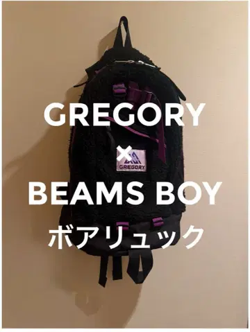 GREGORY x BEAMS BOY 보아 백팩 블랙 x 퍼플
