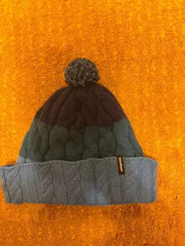 Patagonia 니트 모자 파랑