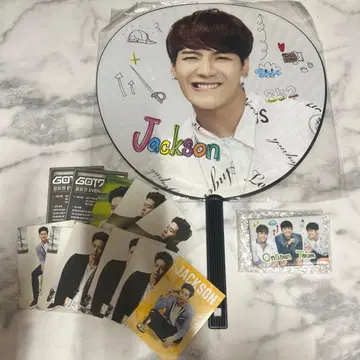 GOT7 잭슨 JACKSON 부채 카드 배지