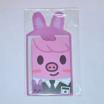 SKZOO TOPLOADER 경질 트레이딩 카드 케이스 돼끼 창빈