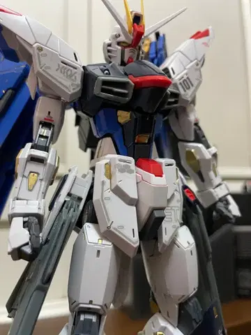 1/100 MG 프리덤 건담 ver.2.0 완성품