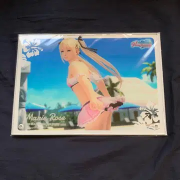 DOAVV 아크릴 보드 마리 로즈