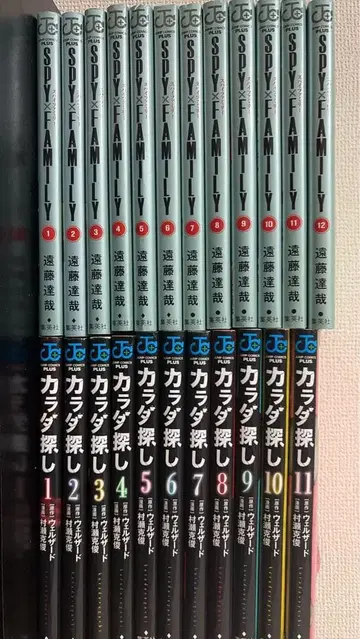 SPY x FAMILY & 카라다 사가시 세트