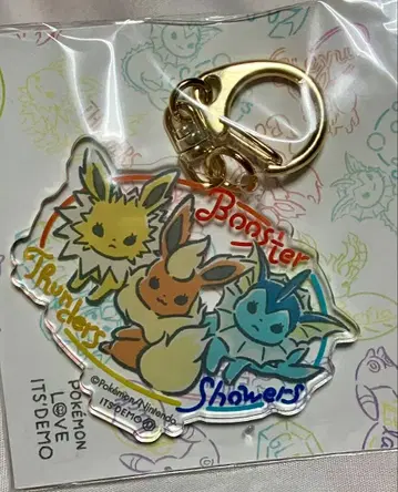 단종 포켓몬 잇츠데모 키링 부스터 썬더 샤미드