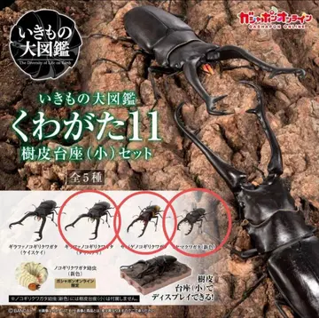 생물대도감 사슴벌레 11 온라인판 3종 세트