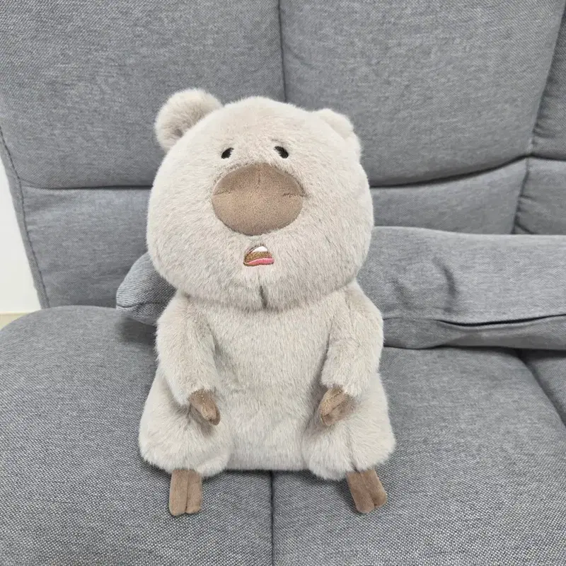 씻은게 억울한 쿼카 코커 봉제인형 25cm (그레이)