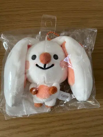 cravity ccrew 미니 인형 우카 우빈