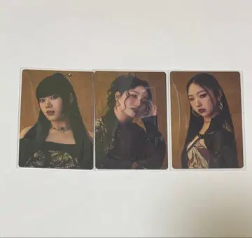 HANA CHIKA KOHARU NAOKO 트레이딩 카드 컴플리트 파일