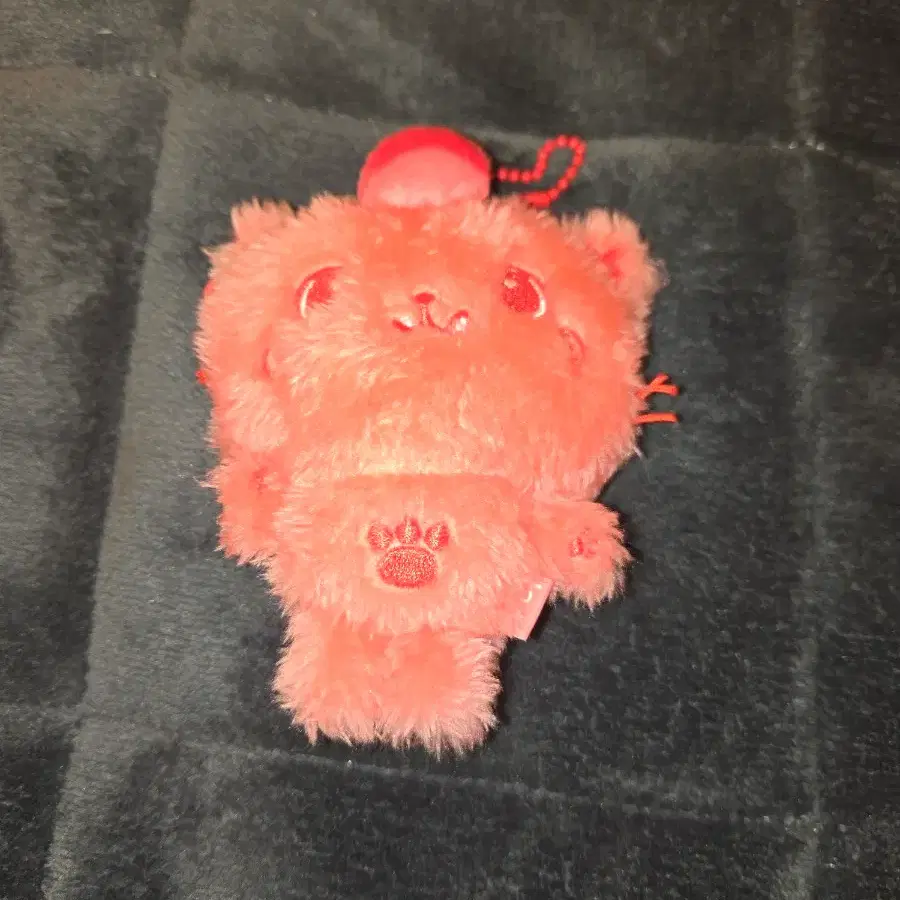 NCT wish riku Kuri doll WTS #엔시티위시,#리쿠,#쿠리 on Bunjang