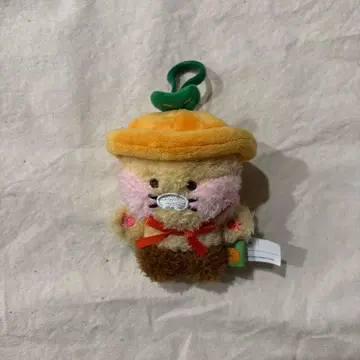 제주도 한정판 카카오프렌즈 춘식이