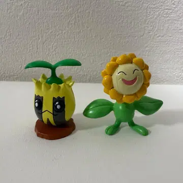 몬코레 초기 해너츠 해마