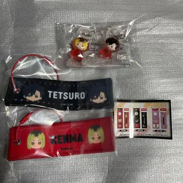 하이큐!! 미니 컬렉션 플라이트 택 컬렉션 메지루시 액세서리