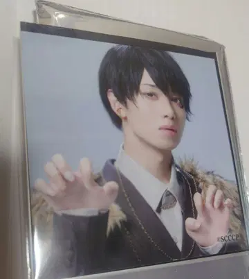 캐터리아 네일 씰 특전 스퀘어 브로마이드 포메