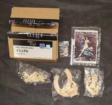 ana+digi 1/10 스케일 캐스트 키트 이슈타르