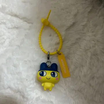 마메치 컬러풀 멀티 참